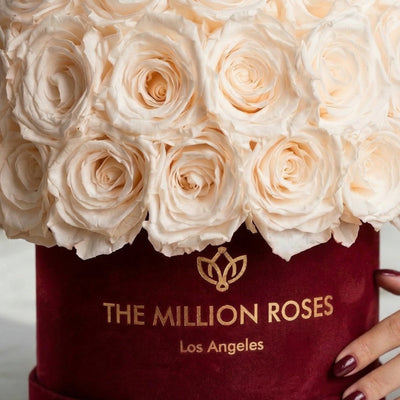 Classic Bordeaux Suede Superdome Box by The Million Roses - product image 3 for Resin Society