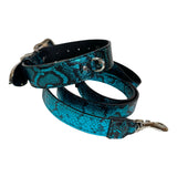 Coiled blue and black faux snakeskin collar and matching leash set with silver hardware and a D-ring on the collar shown isolated on white.