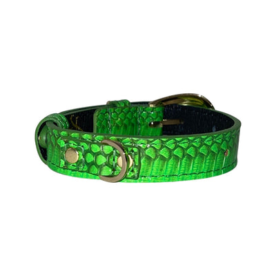 XS/S 7”-14” Neon Green Custom Snake Collar/Custom Gold Oval Italian