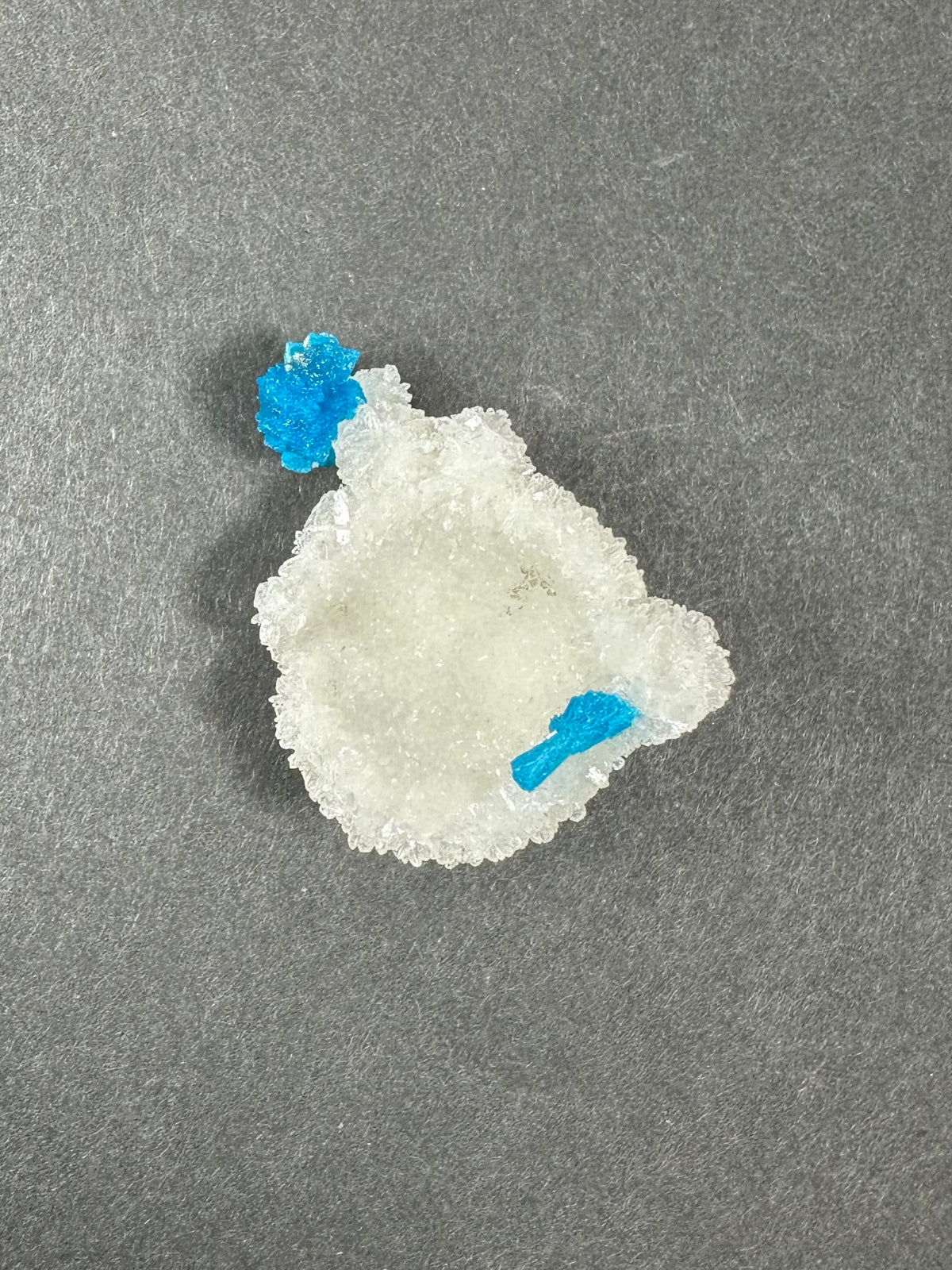 Bright blue cavansite crystal clusters on a textured, white stilbite base, displayed on a neutral gray background, highlighting the contrasting colors and crystalline shapes.