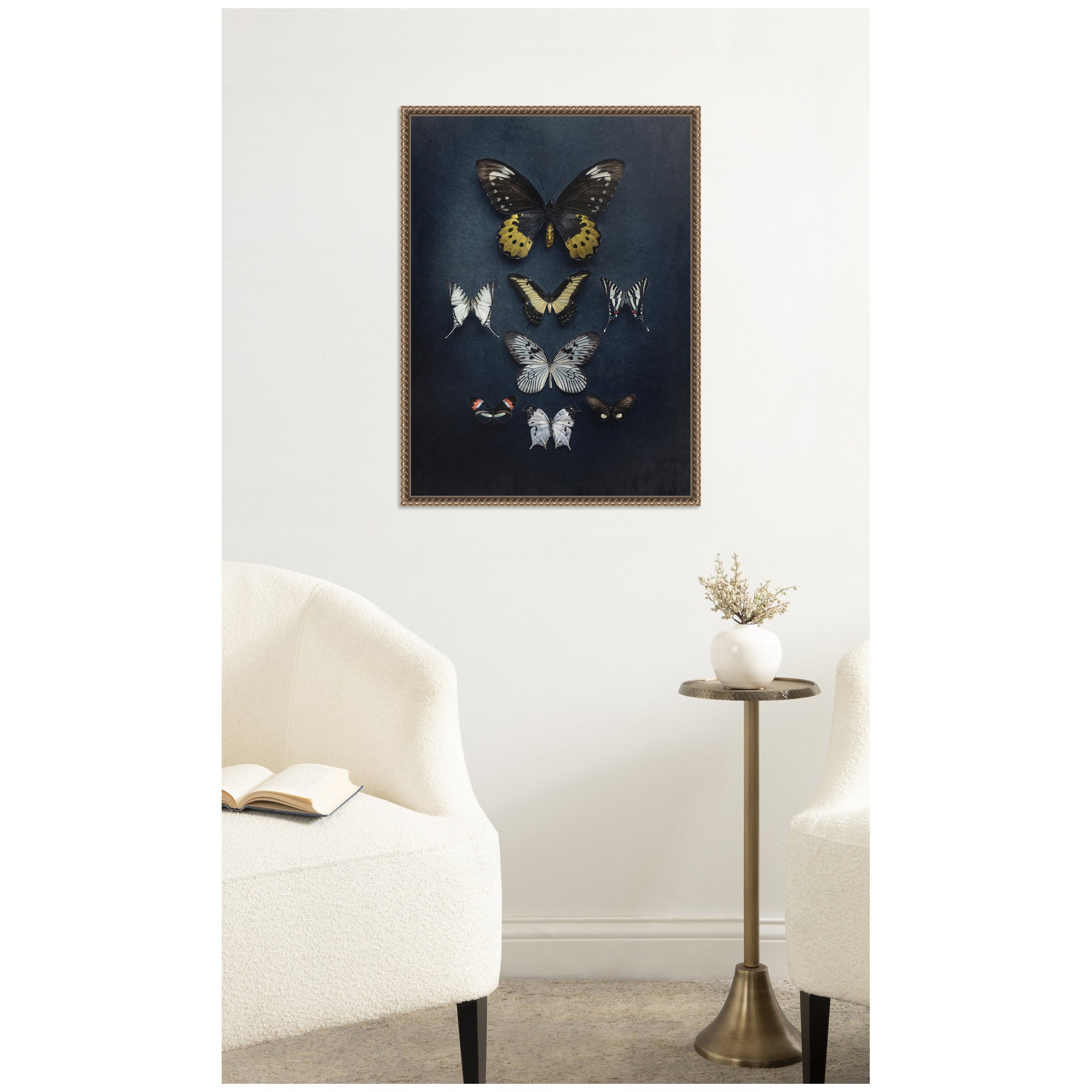 Butterfly Study Dark by Emiko and Mark Franzen F2 Images Framed Canvas Wall Art Print