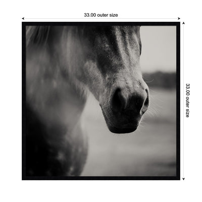 Horse Like Velvet by Laura Evans Framed Wall Art Print
