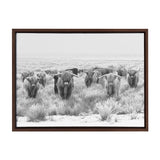 Sylvie Herd of Highland Cows Black and White Framed Canvas by The