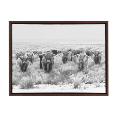 Sylvie Herd of Highland Cows Black and White Framed Canvas by The
