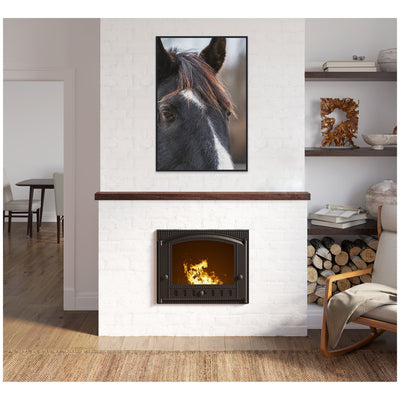 Black and White Horse by Emiko and Mark Franzen F2 Images Framed Canvas Wall Art Print