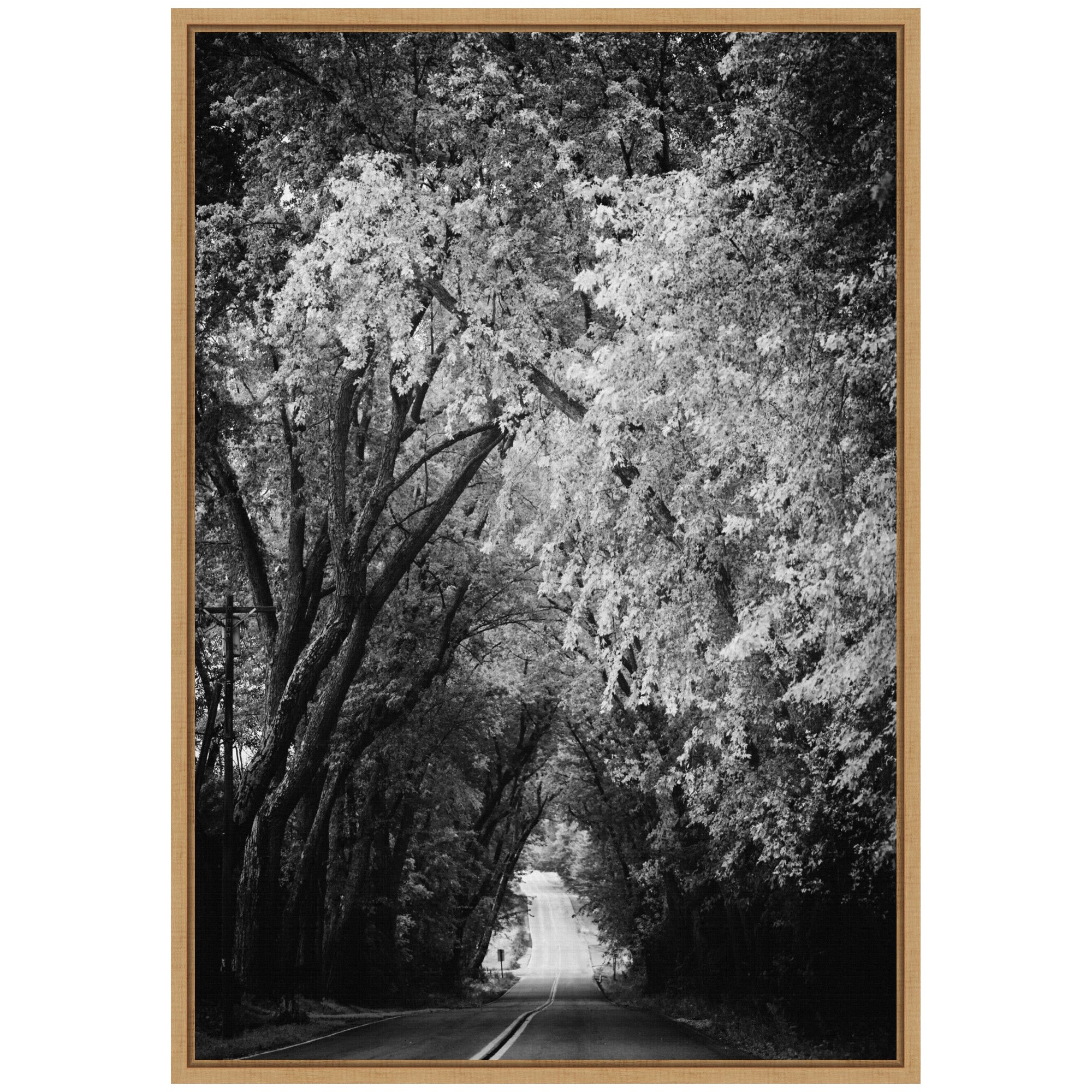 Sylvie Pleasant Valley Road Serene Path Framed Canvas by Emiko and Mark Franzen of F2Images