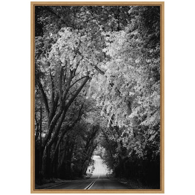 Sylvie Pleasant Valley Road Serene Path Framed Canvas by Emiko and Mark Franzen of F2Images