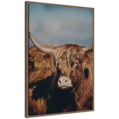 Framed canvas wall art print depicting a close-up of a highland cow with long horns and shaggy fur, set in a dark gold Sylvie frame.