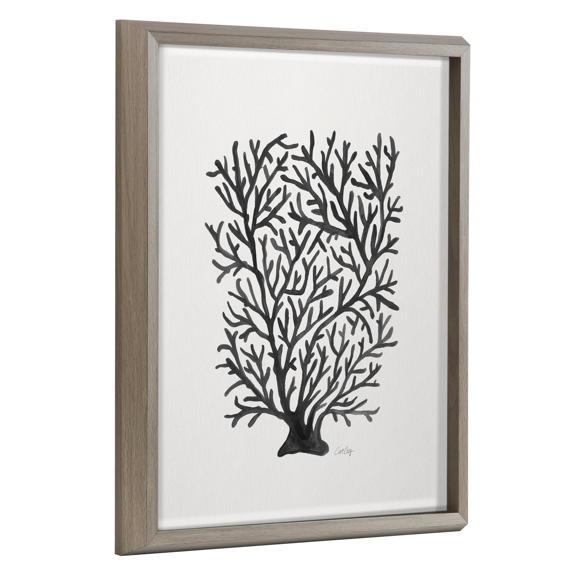 Blake Coral Black Framed Printed Glass by Cat Coquillette by kateandlaurel - main product image for Resin Society