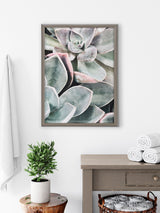 Blake Botanical Succulent Plants 1 Framed Printed Glass by The Creative by kateandlaurel - product image 7 for Resin Society