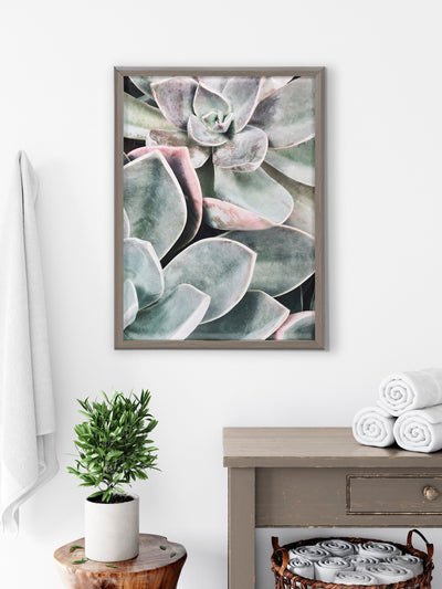 Blake Botanical Succulent Plants 1 Framed Printed Glass by The Creative by kateandlaurel - product image 7 for Resin Society