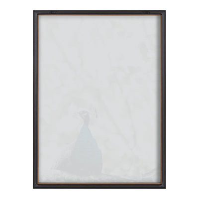 Blake Peacock Framed Printed Glass by Alicia Abla by kateandlaurel - product image 4 for Resin Society