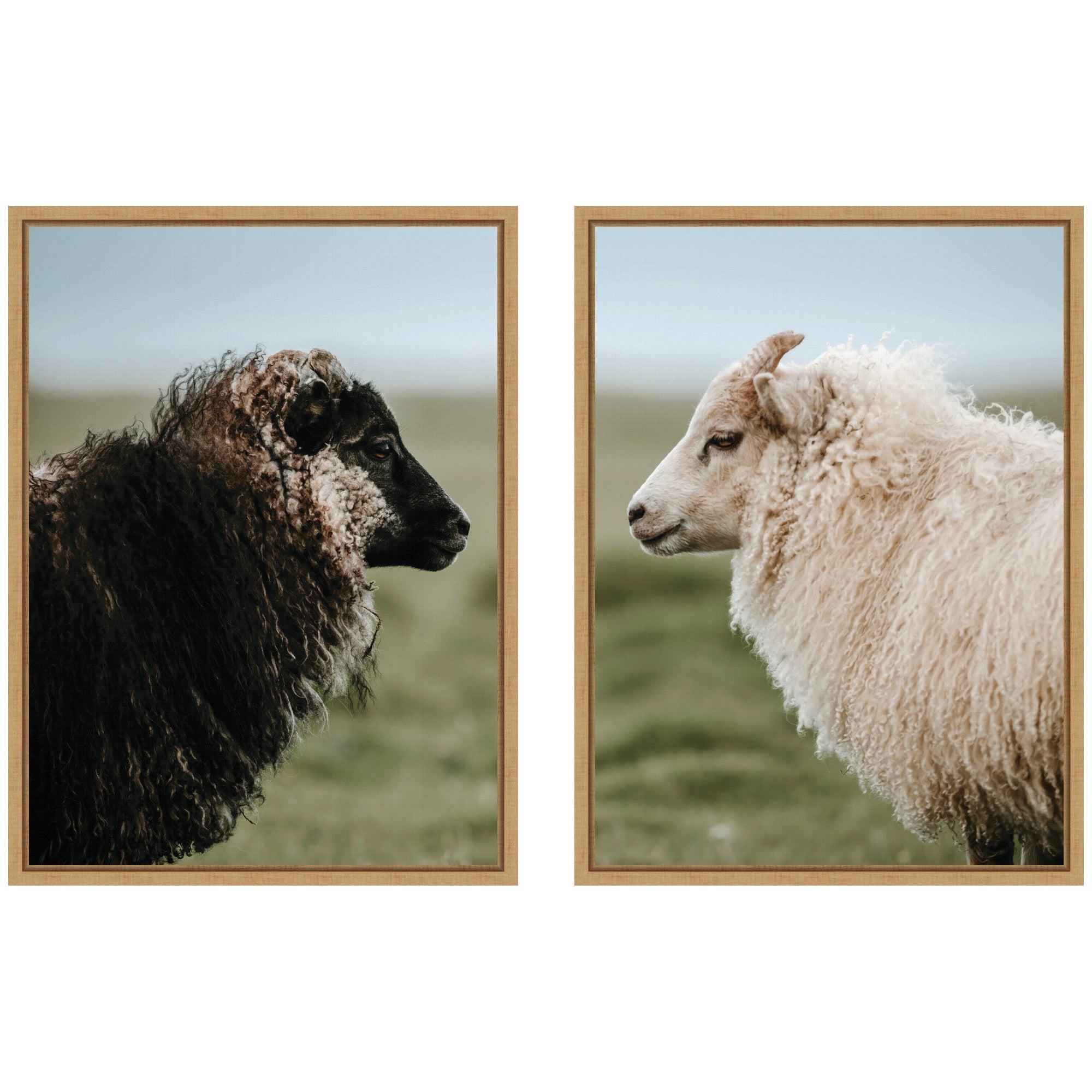 Sylvie Sheeply in Love Framed Canvas Art Set by Michael Schauer