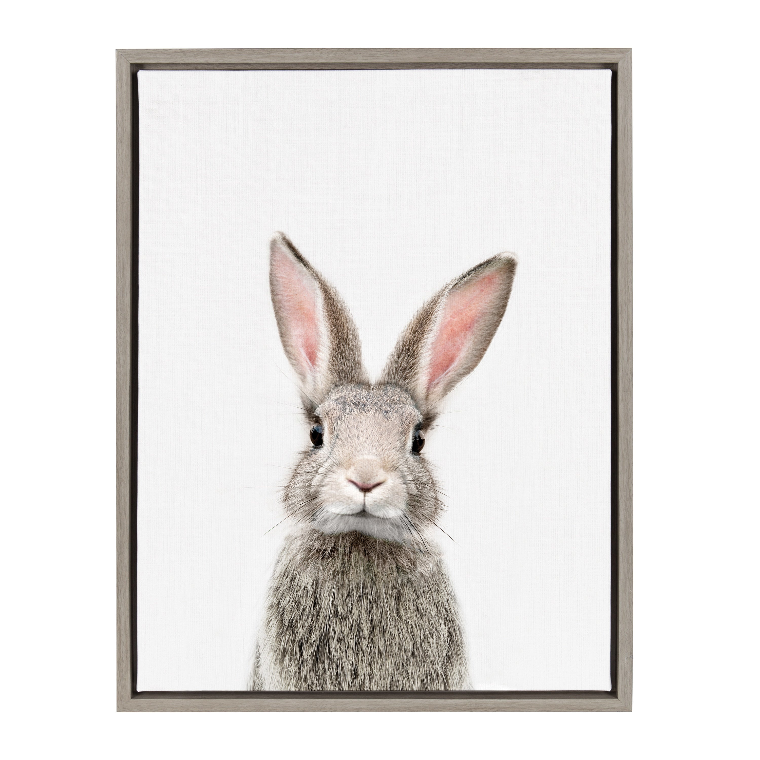 Sylvie Young Rabbit Framed Canvas by Amy Peterson Art Studio