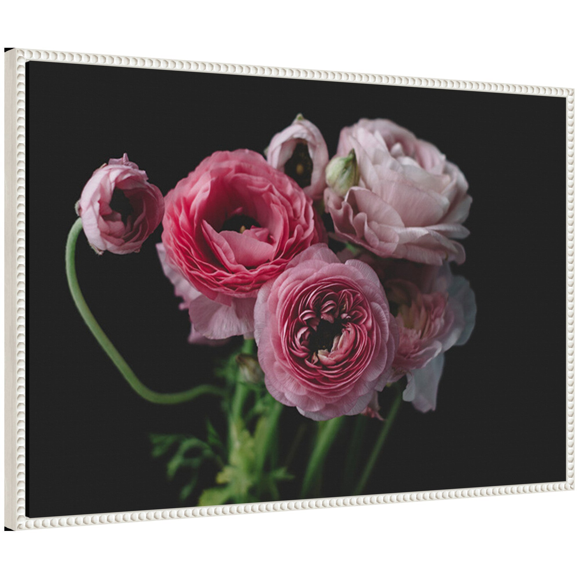 Sylvie Mood Dark Pink Ranunculus Flower Bouquet framed canvas by Kristy Campbell showing vibrant dark pink ranunculus flowers