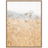 Framed canvas showing delicate wild fennel plants with beige stems and seed heads against a soft, hazy blue and white background.
