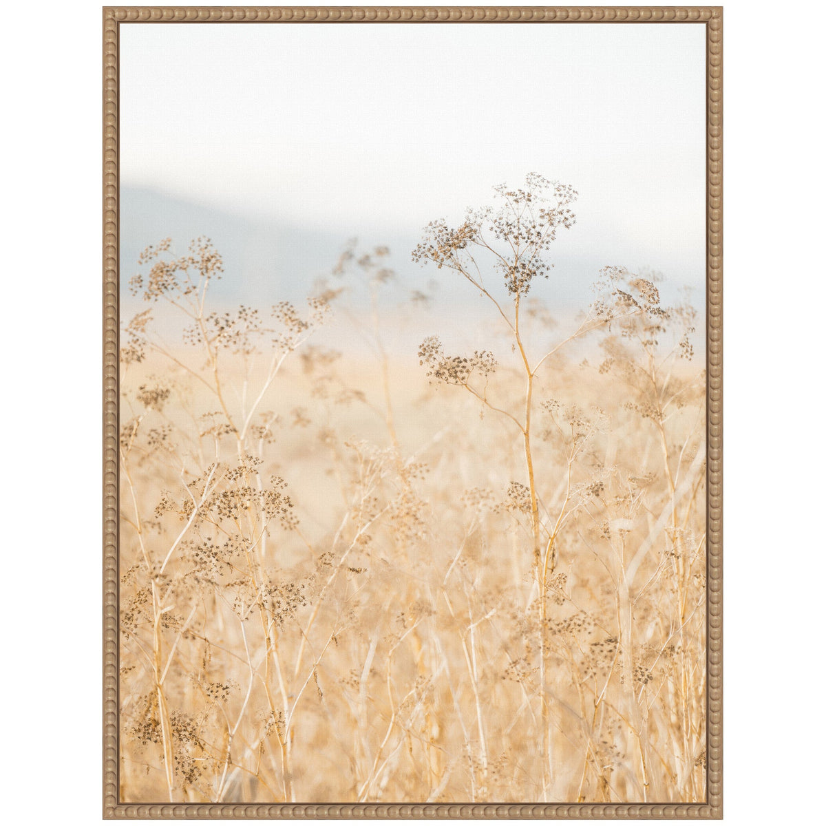 Framed canvas showing delicate wild fennel plants with beige stems and seed heads against a soft, hazy blue and white background.