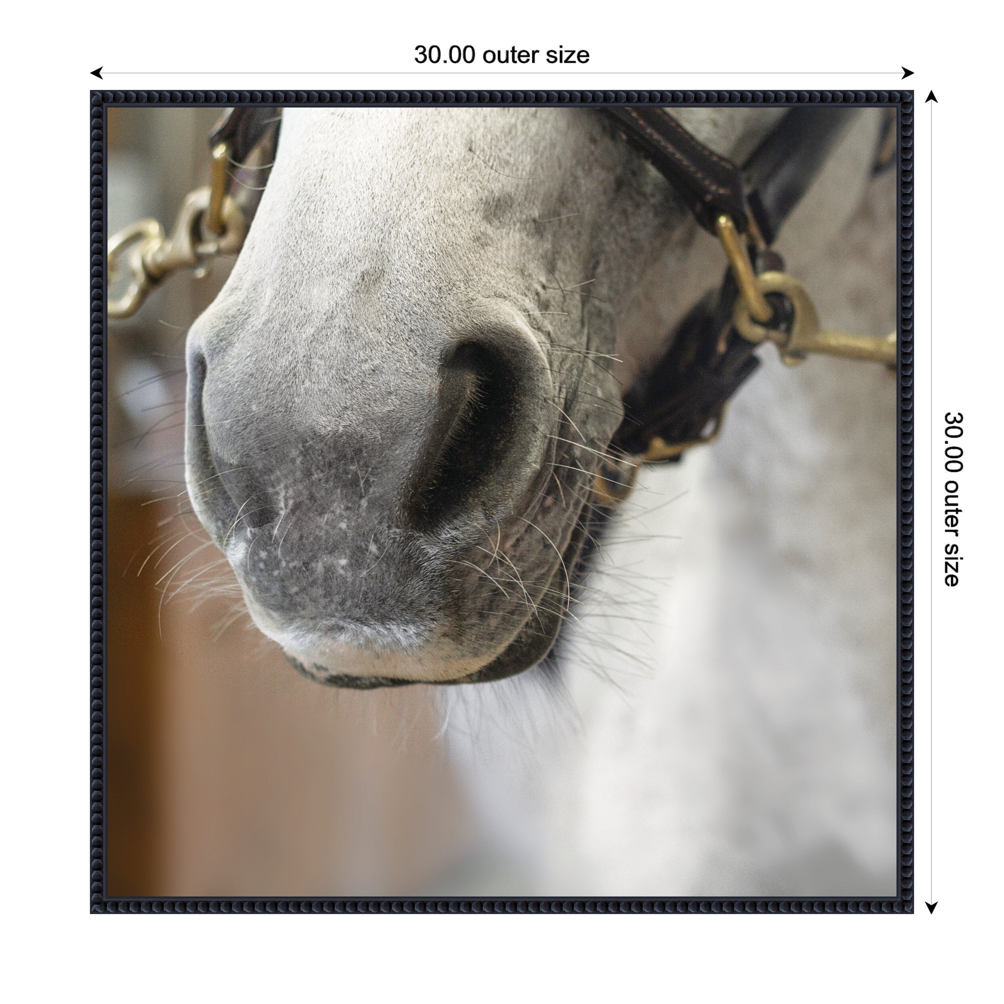 Barn Day Horse by Emiko and Mark Franzen F2 Images Framed Canvas Wall Art Print