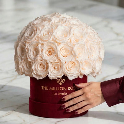 Classic Bordeaux Suede Superdome Box by The Million Roses - product image 4 for Resin Society