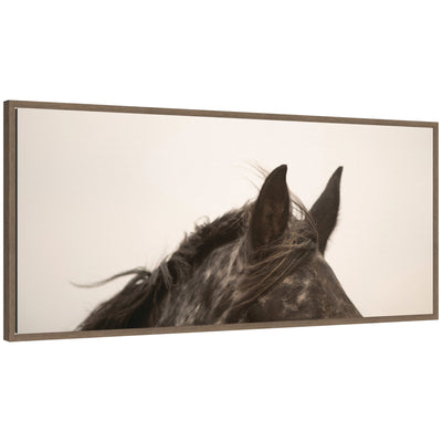 Horse Ears Panel by Crystal Lynn Collins Framed Canvas Wall Art Print