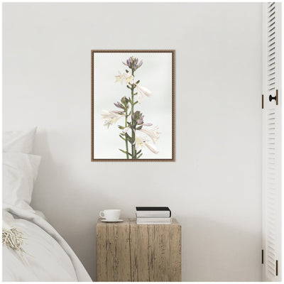 Sylvie Hosta Framed Canvas by Alicia Abla