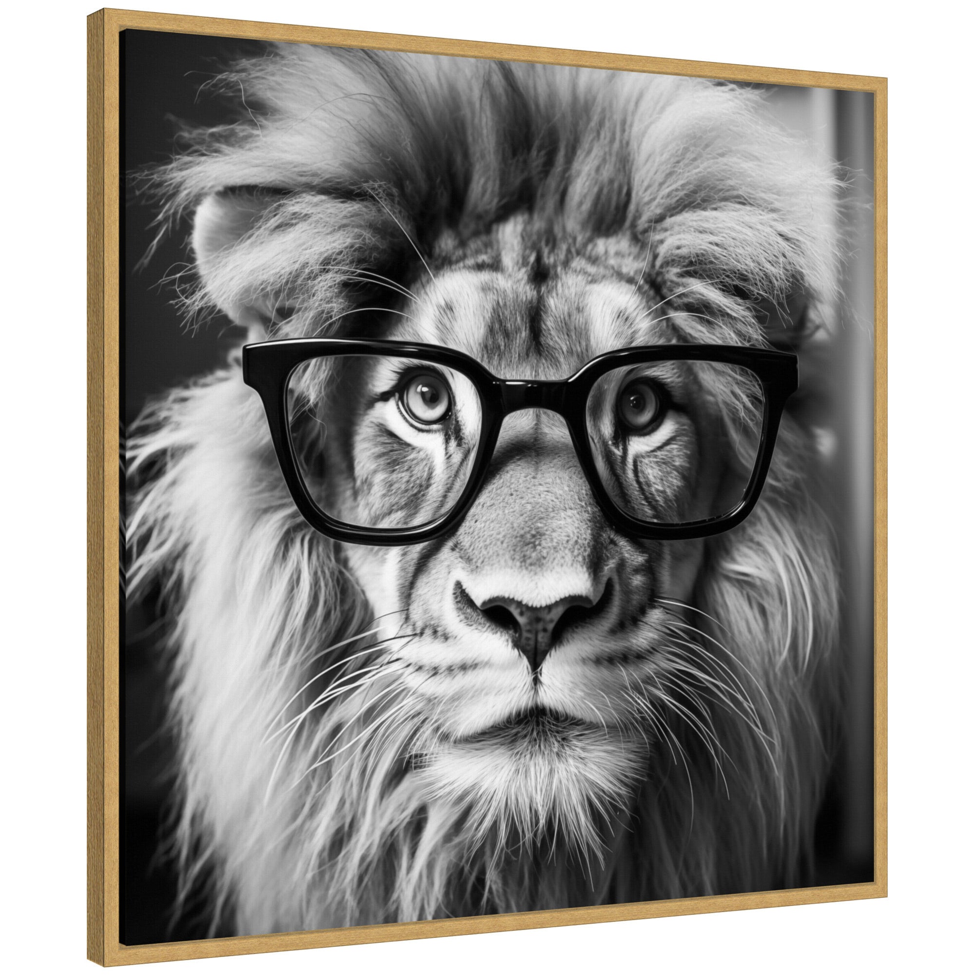 Sylvie Black and White Lion in Reading Glasses Framed Canvas by kateandlaurel - product image 5 for Resin Society