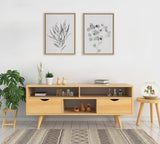 Sylvie Neutral Botanical 1 and 2 Soft White Framed Canvas by kateandlaurel - product image 10 for Resin Society