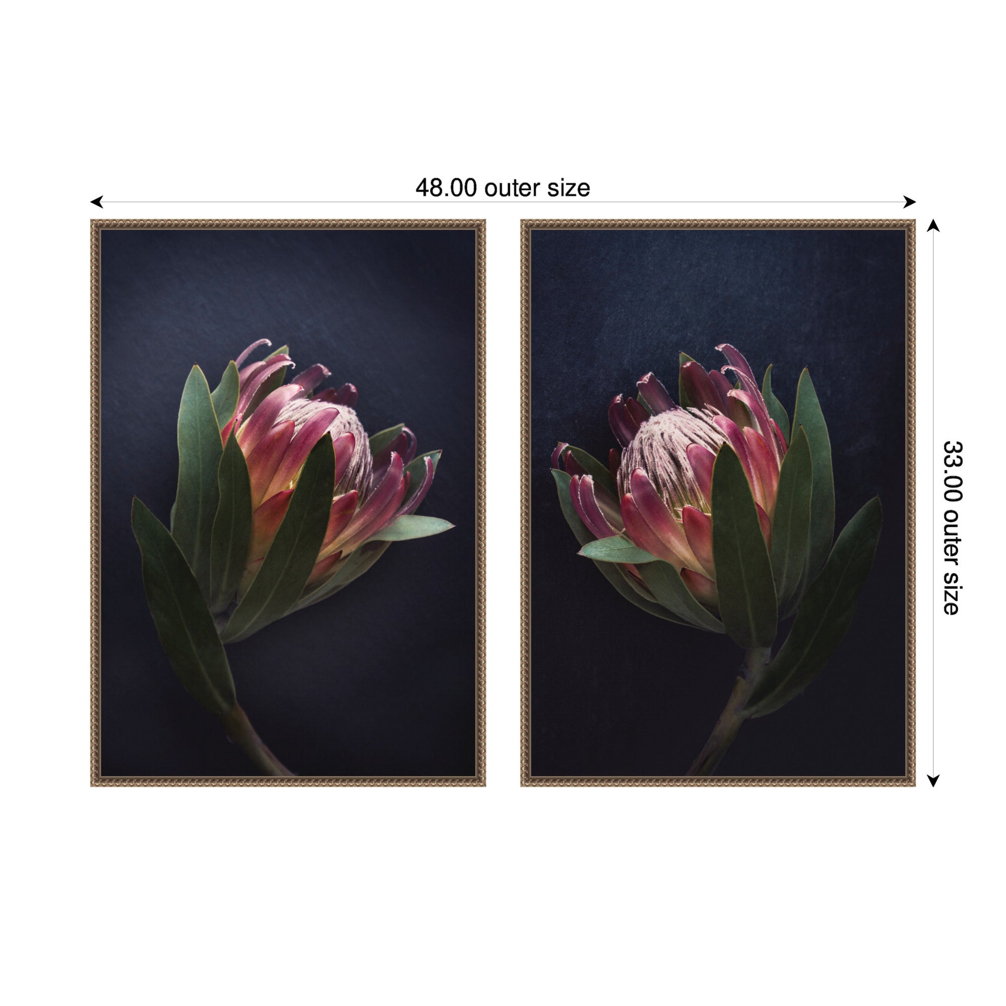 Moody ProteaNo.
1 & No.
2 2 Piece Framed Canvas Wall Art Set by Emiko and Mark Franzen F2 Images