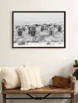 Sylvie Herd of Highland Cows Black and White Framed Canvas by The