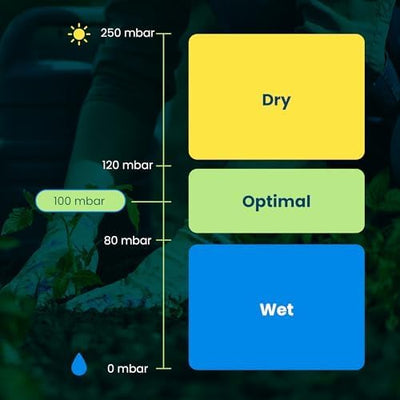 Blumat Digital Moisture Meter Kits by Sustainable Village - product image 16 for Resin Society