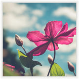 Bright pink clematis flower and unopened buds backlit against a soft blue sky with wispy clouds, featuring green leaves in the foreground.