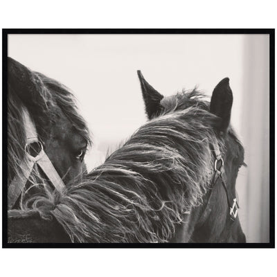 Black Horses by Emiko and Mark Franzen F2 Images Framed Wall Art Print