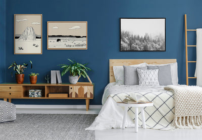 Sylvie Forest On A Foggy Day BW Framed Canvas by kateandlaurel - product image 10 for Resin Society
