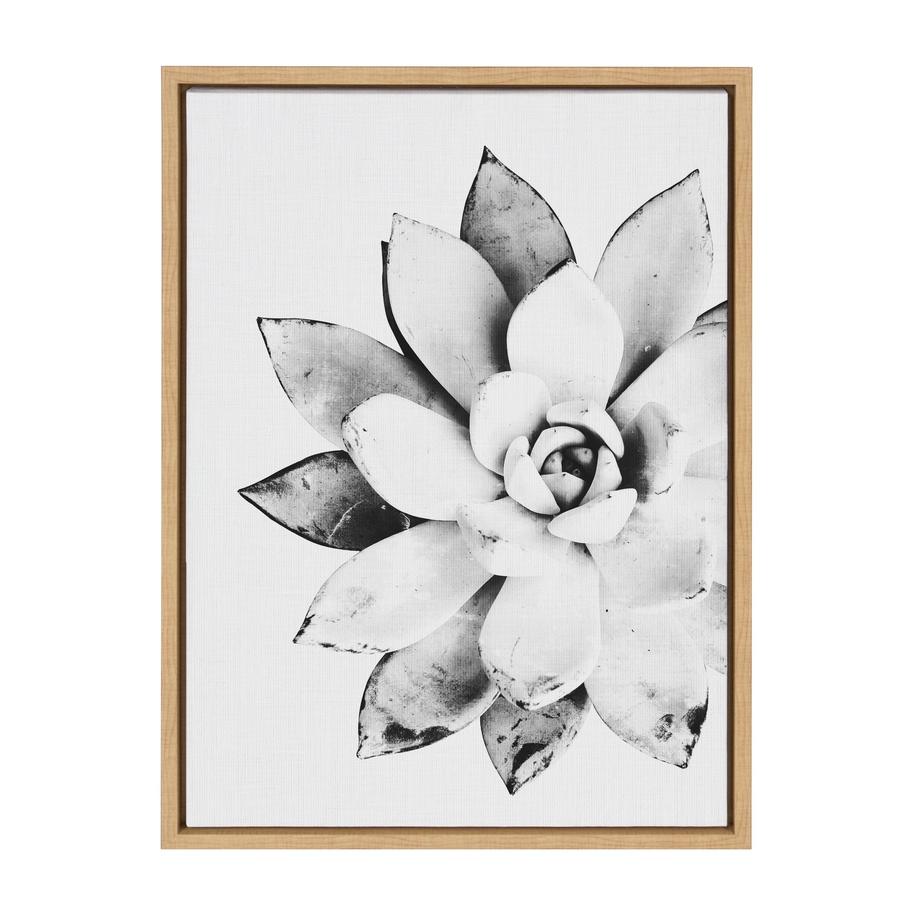 Sylvie Succulent Framed Canvas by Simon Te of Tai Prints