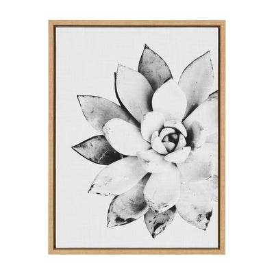 Sylvie Succulent Framed Canvas by Simon Te of Tai Prints