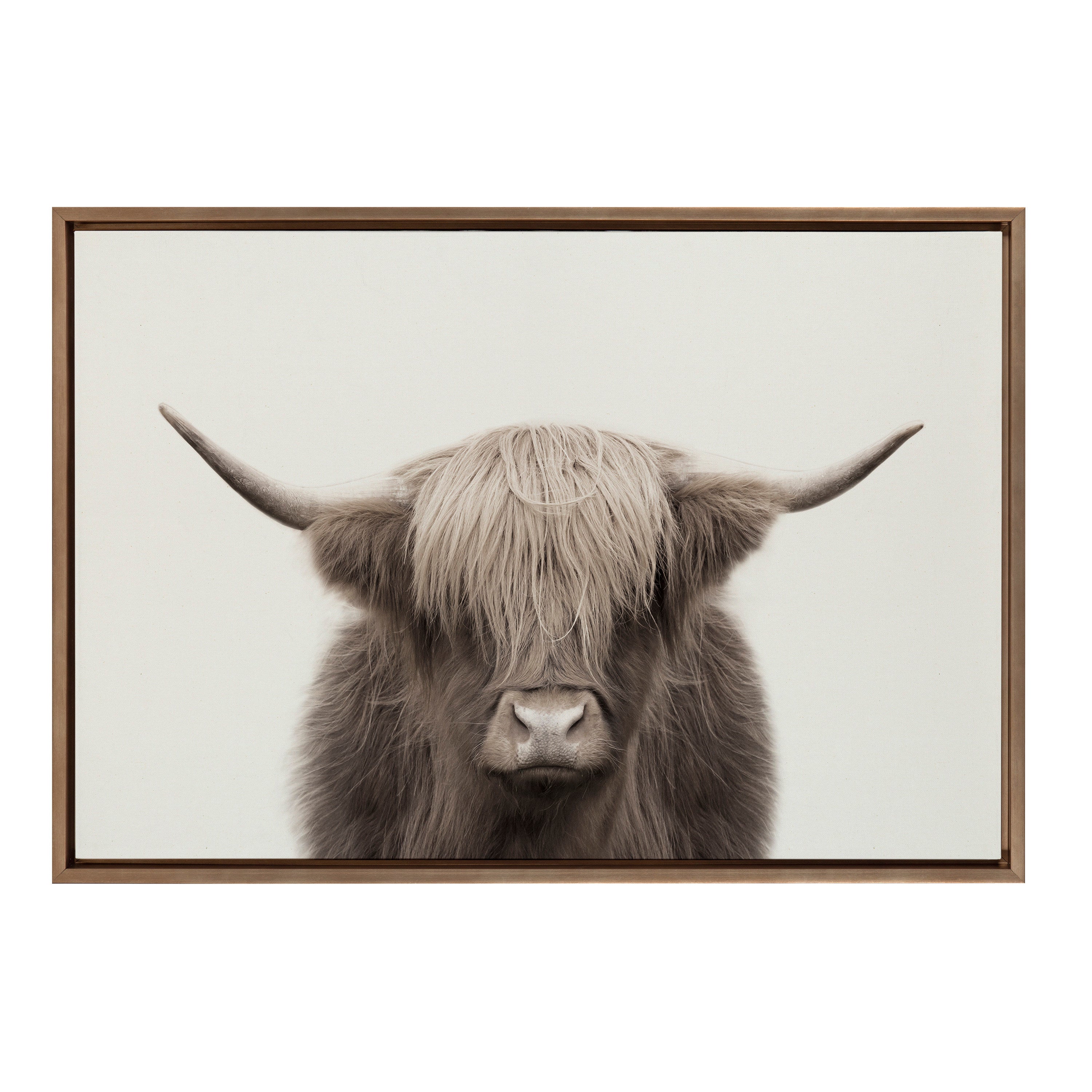 Sylvie Hey Dude Highland Cow Color Framed Canvas by The Creative Bunch