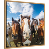 Funny Horse Selfie framed canvas art showing a horse with a playful expression.