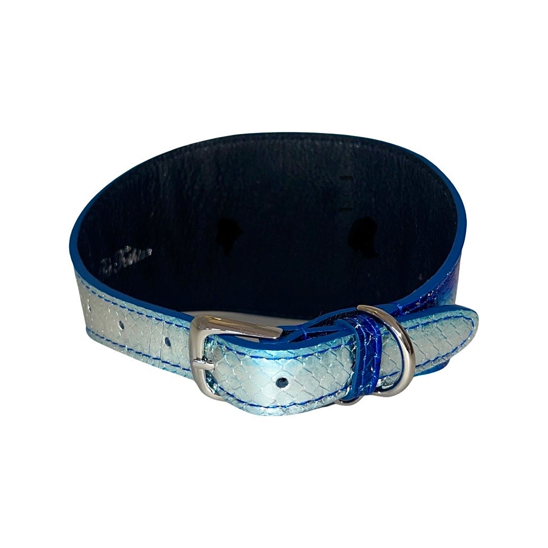 Wide metallic blue dog collar with a silver buckle and textured light blue strap accents, viewed from an angled side showing the inside surface.