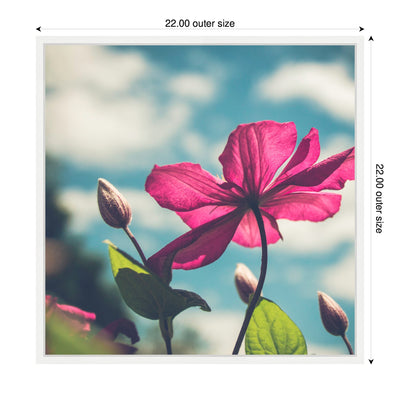 Sylvie Flower in the Sky Framed Canvas by Stephanie Klatt
