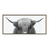 Close-up frontal view of a Highland cow with long hair covering its eyes and wide horns extending sideways in a minimalist rectangular frame.