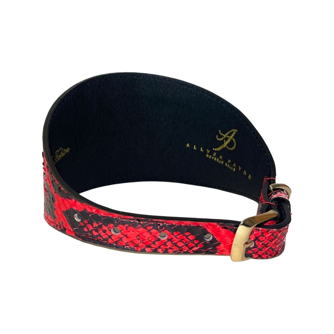 Curved dog collar with red and black snake pattern on the outer side and black inner lining with gold logo, featuring a gold buckle clasp.