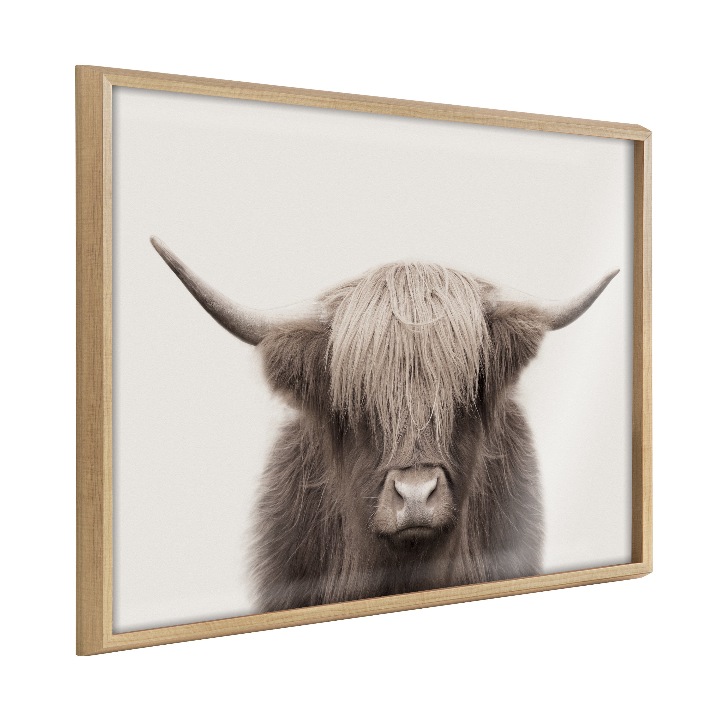 Framed portrait art of a highland cow with colorful headwear, in a modern lightweight polystyrene frame.