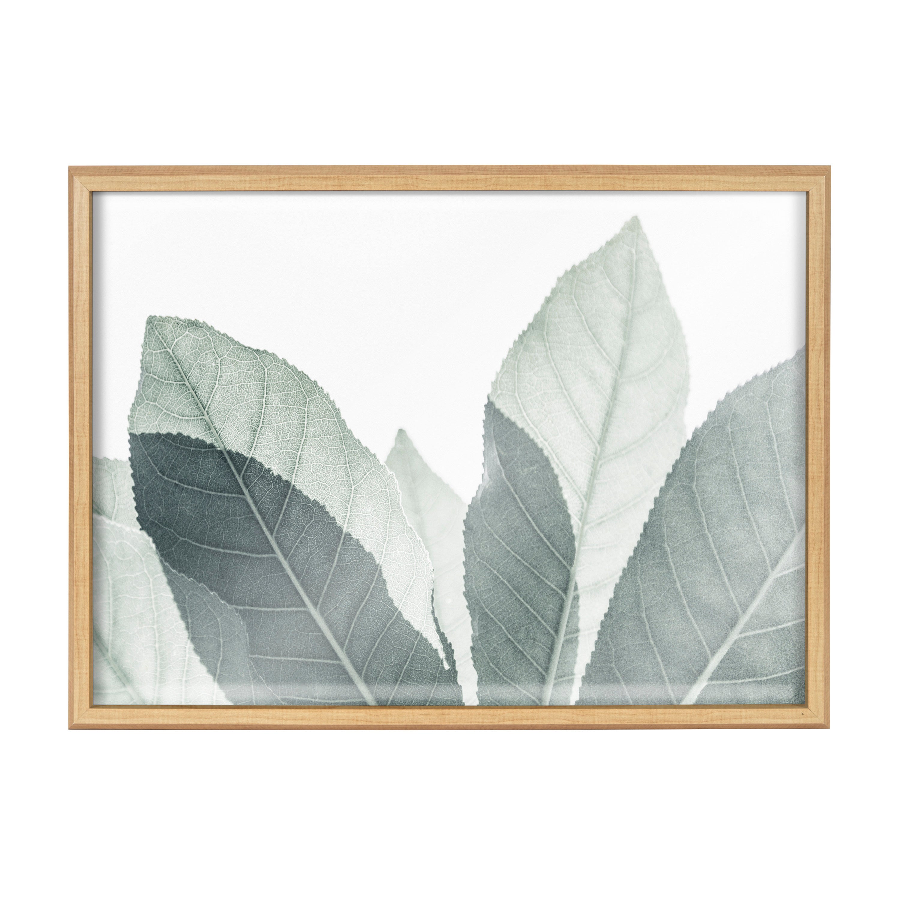 Blake Modern Green Leaf Botanical III Framed Printed Glass by The by kateandlaurel - product image 2 for Resin Society