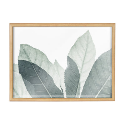 Blake Modern Green Leaf Botanical III Framed Printed Glass by The by kateandlaurel - product image 2 for Resin Society