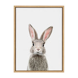 Portrait of a gray and white rabbit with pink inner ears on a plain white background, framed in simple light wood.