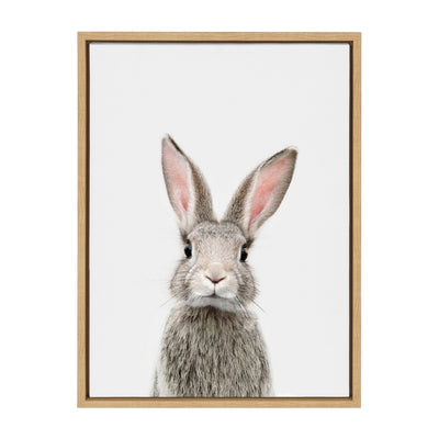 Sylvie Young Rabbit Framed Canvas by Amy Peterson Art Studio