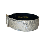Silver snake-patterned pet collar with gold buckle and classic hardware, shown against a white background.