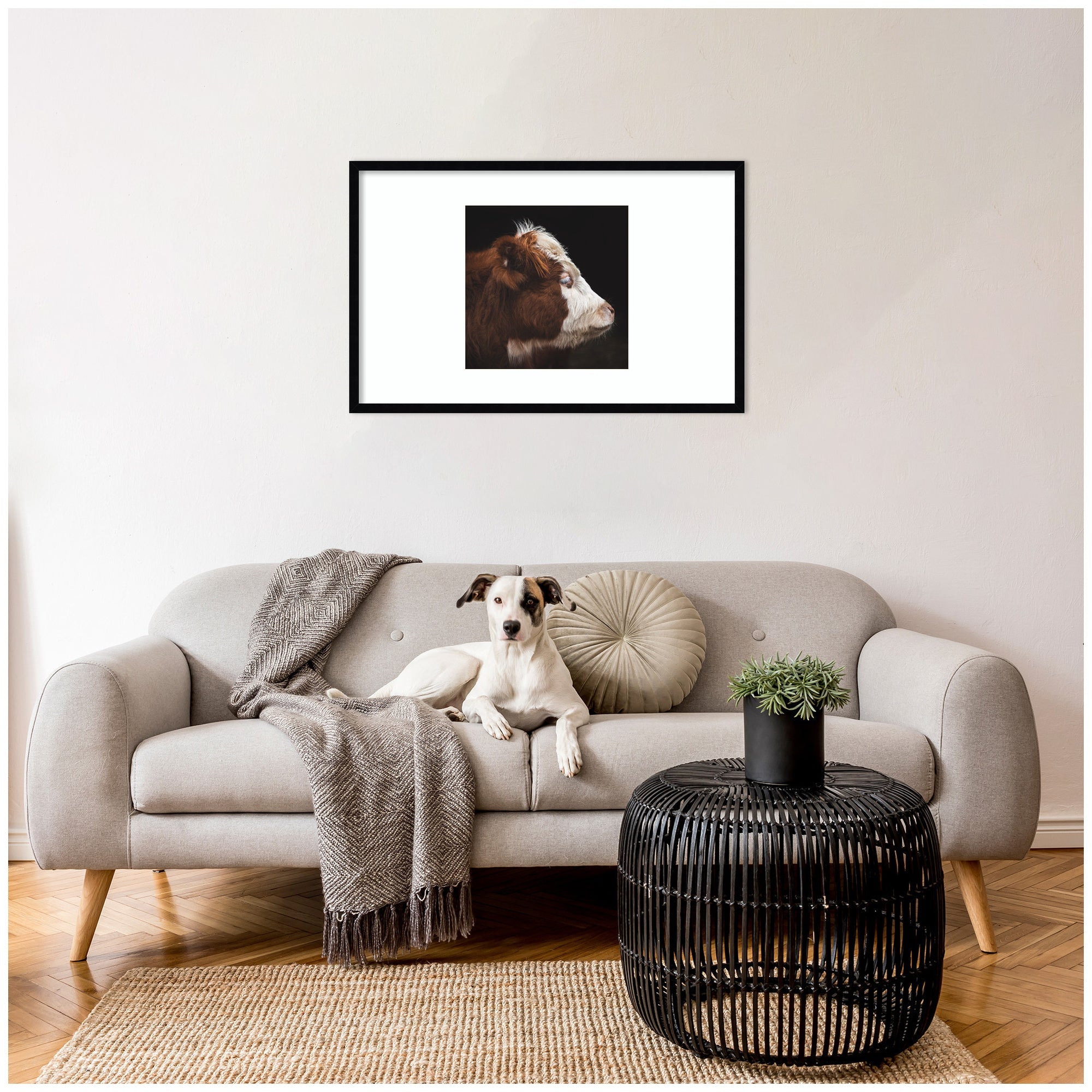 Cow Profile by Emiko and Mark Franzen F2 Images Framed Wall Art Print