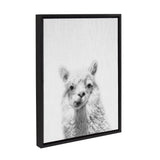 Black-framed grayscale canvas print featuring a close-up of a fluffy alpaca looking straight ahead with a textured white background.