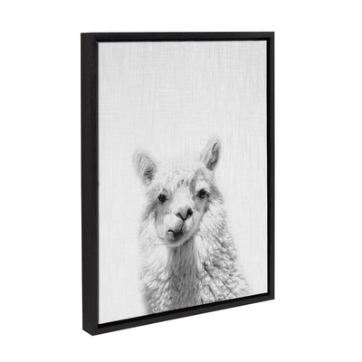 Sylvie Alpaca Framed Canvas by Simon Te of Tai Prints